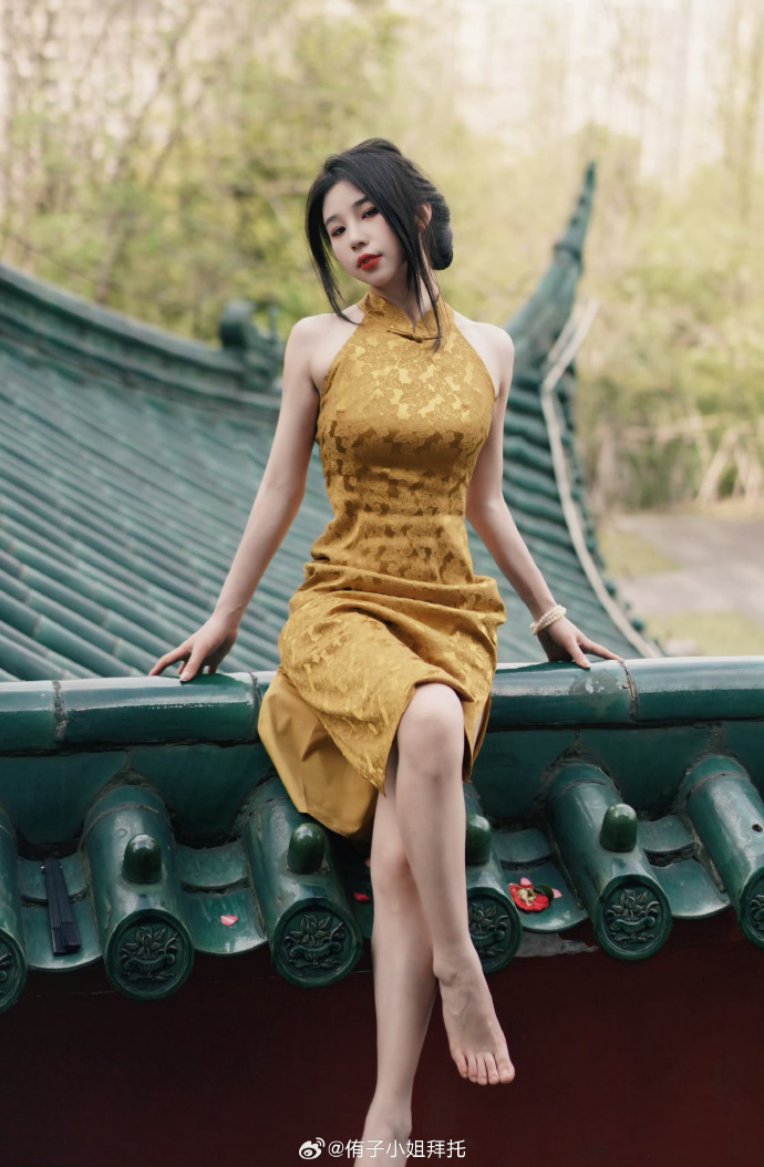 罗马假日 封面